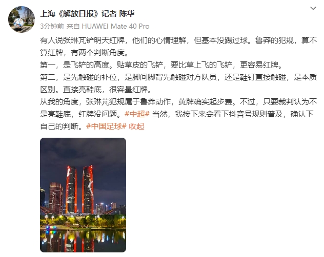 陈华谈张琳芃可能被罚原因