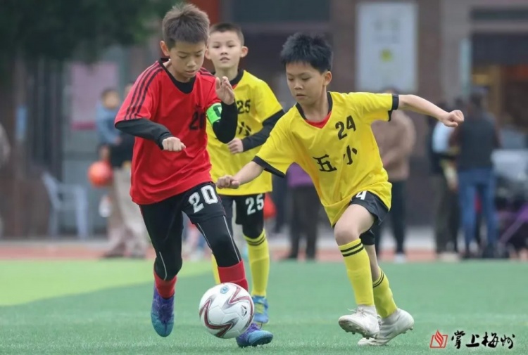 全市推进校园足球发展惠及超五百所学校