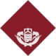 早稻田大学女足
