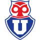 智利大学