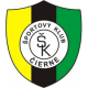 SK次尔尼