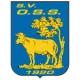 奥斯20